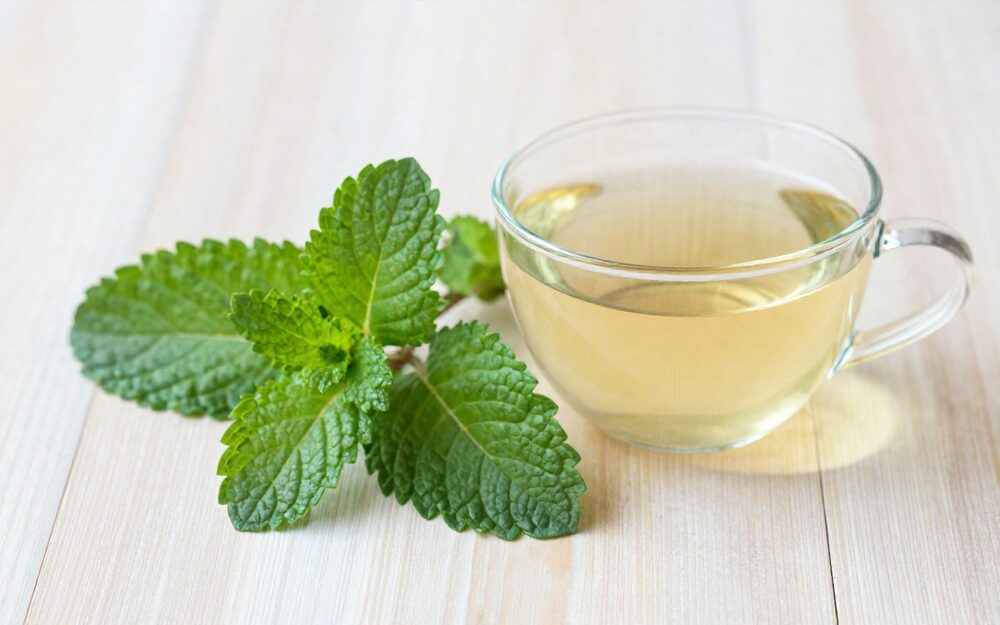 Fresh lemon balm leaves and herbal tea